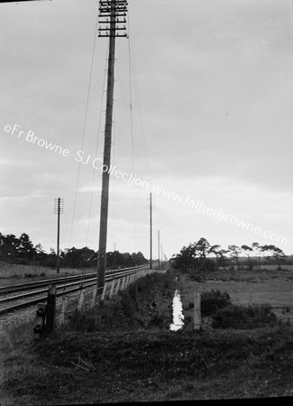 TELEGRAPH POLES